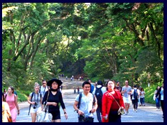 Meji Shrine Garden